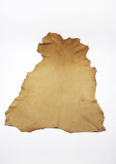 Deer skin , USA