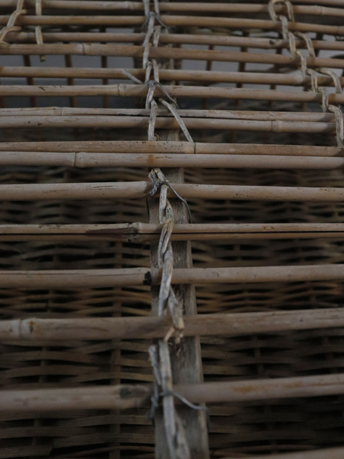 birdcage, wicker basket, netherlands