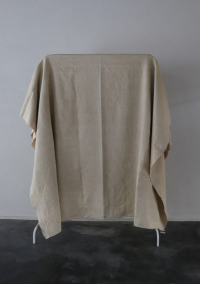 19th century, homespun wool linen,french fabric