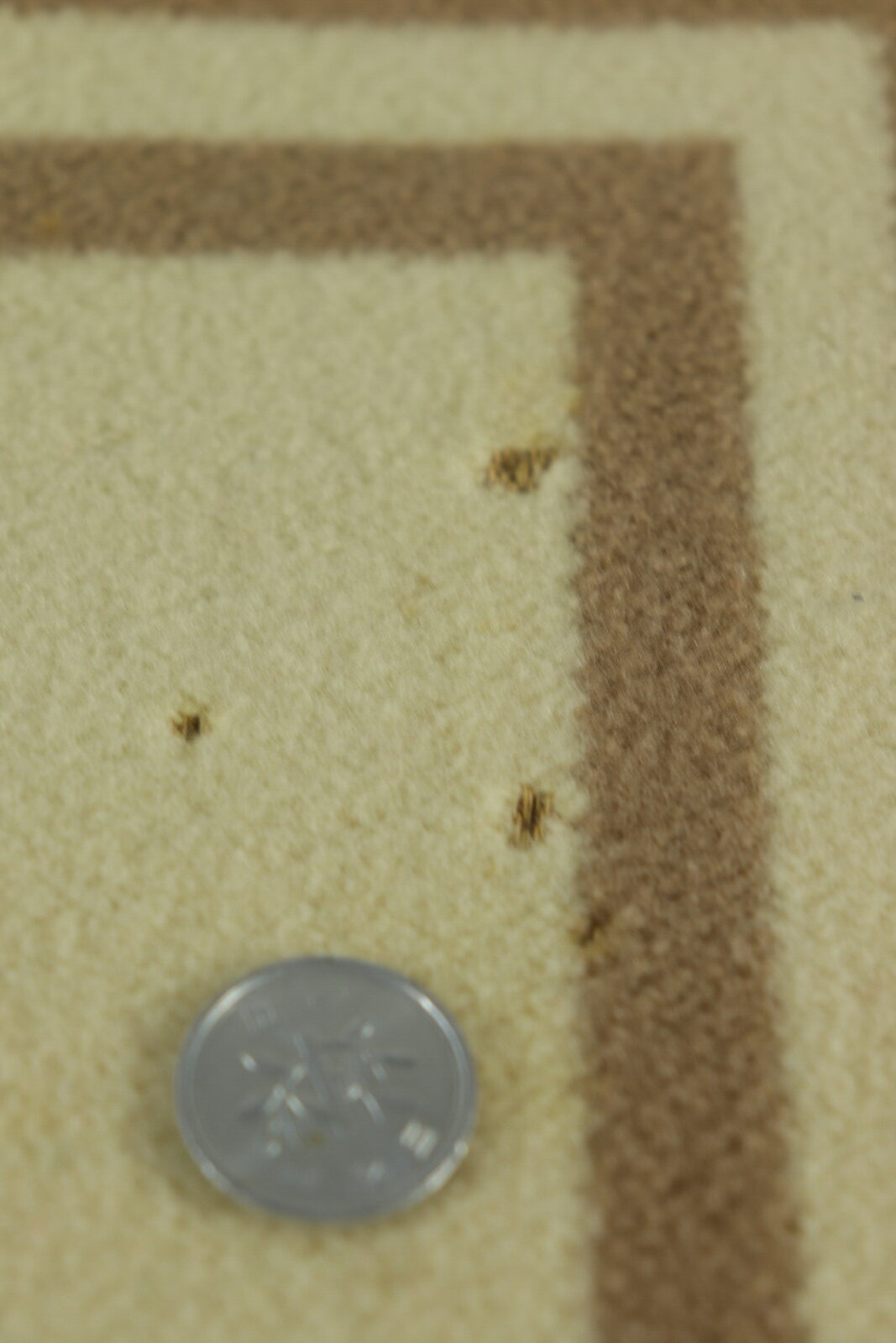 1920's,wool blanket,Pendleton,vintage,antique,USA,chief blanket