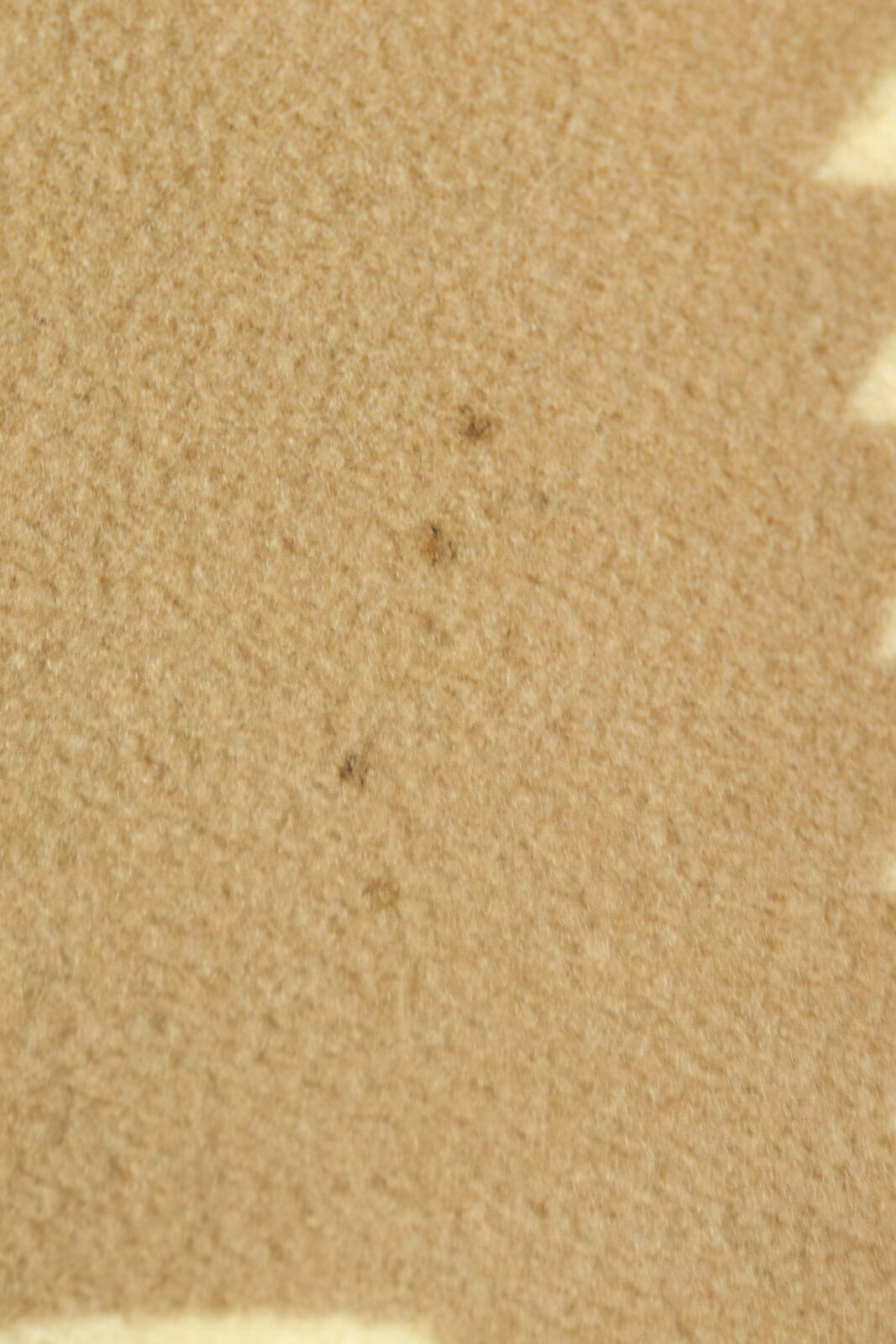 1920's,wool blanket,Pendleton,vintage,antique,USA,chief blanket